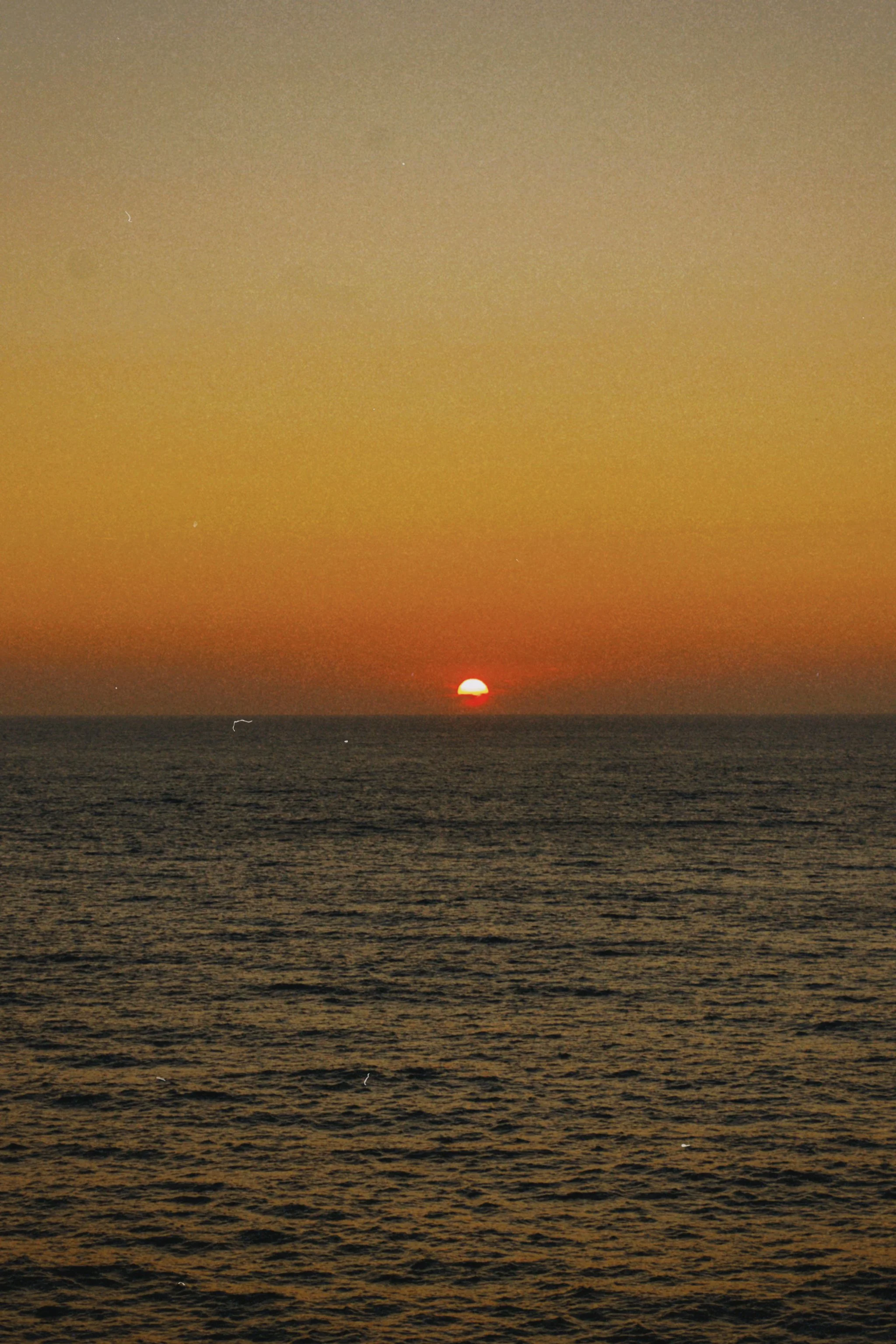 dclassic 2023-06-24 195754.692.JPG