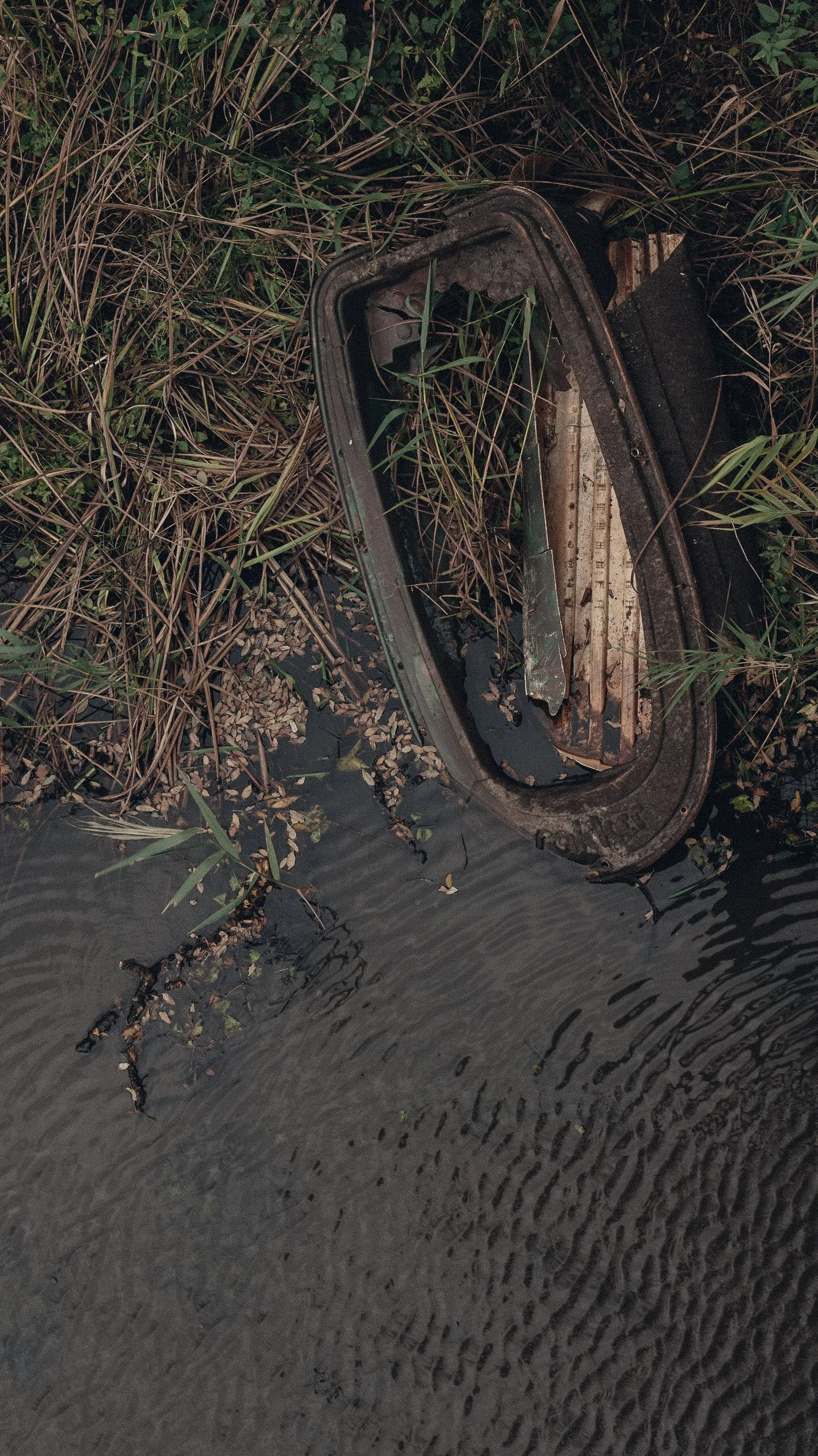 Old, rusted car bumper partially submerged in water and surrounded by overgrown grass.