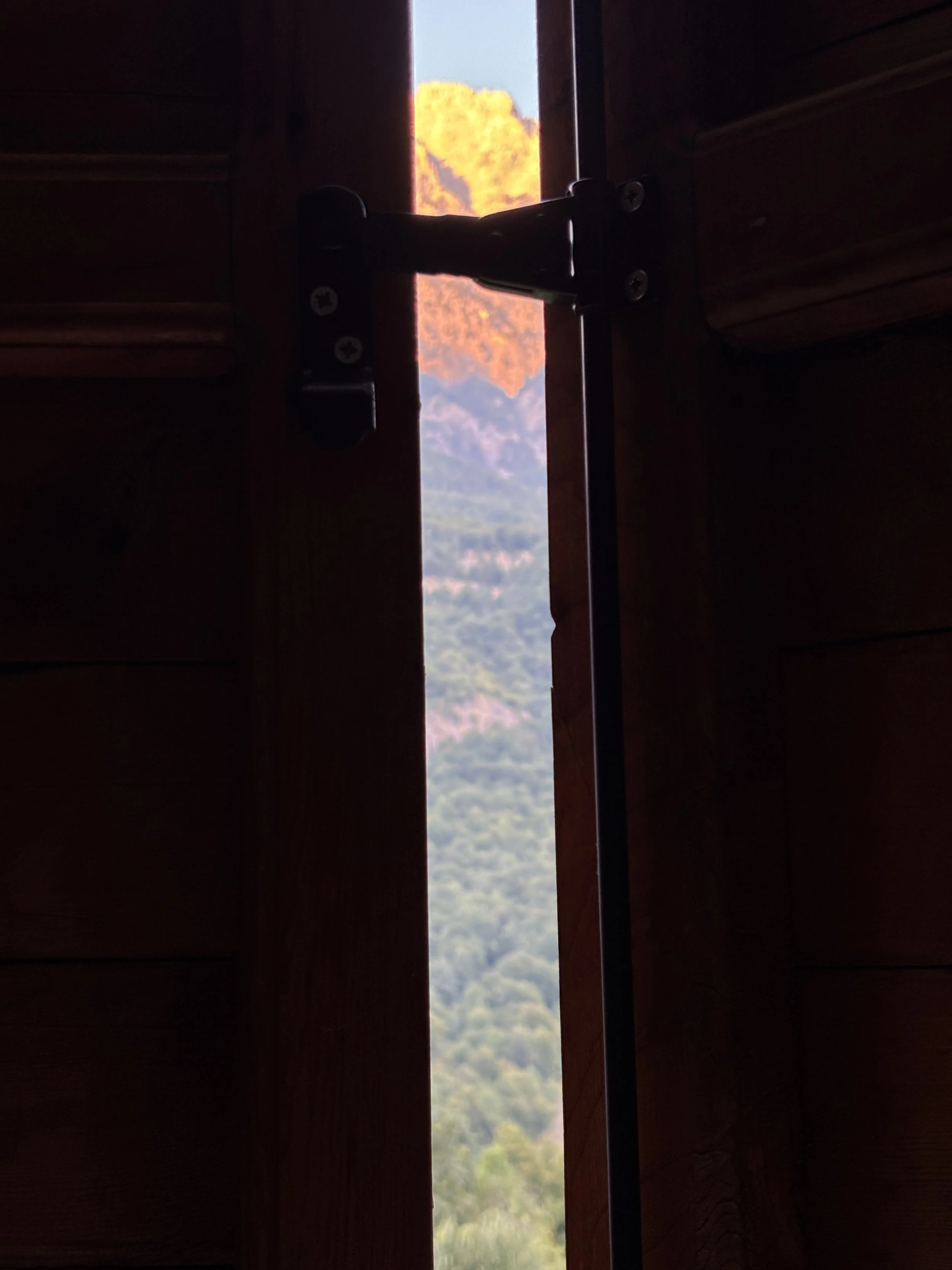 IMG_3959.jpeg