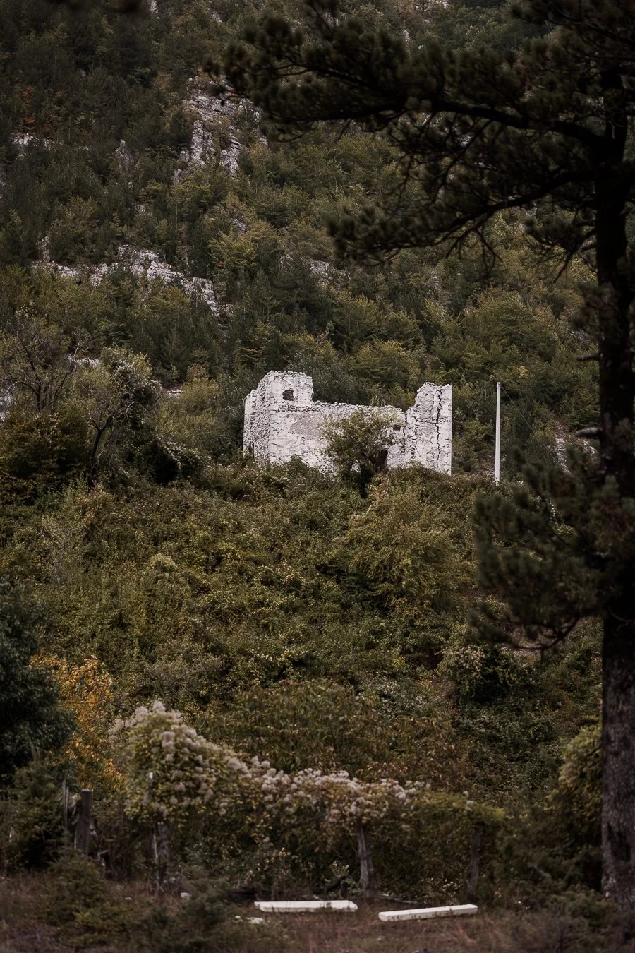100926 Amy Harper Fotografie Albania-186.jpg