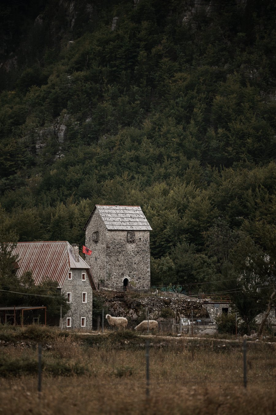 100926 Amy Harper Fotografie Albania-231.jpg