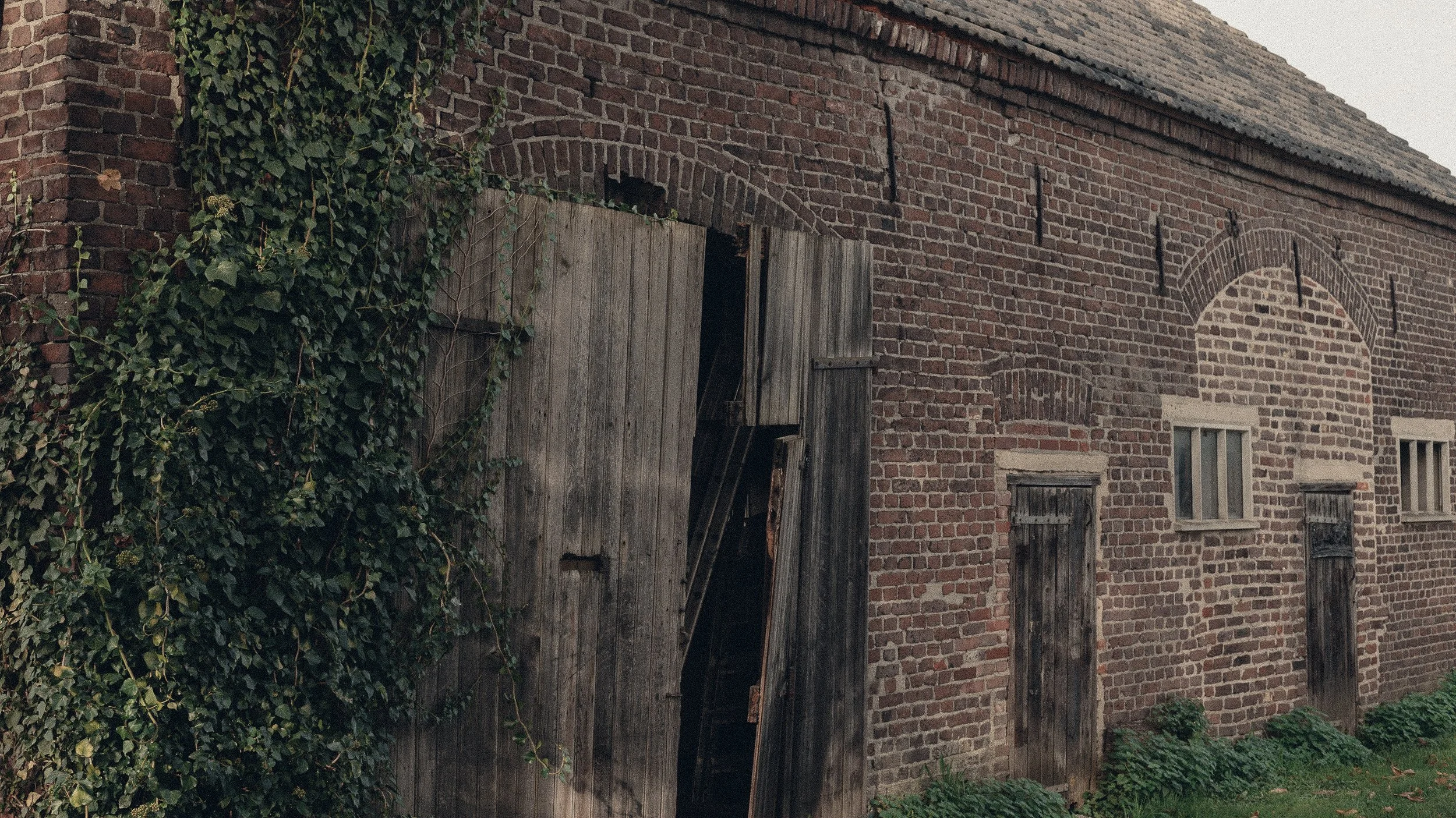 An old brick barn with four wooden doors and ivy growing on the left side.