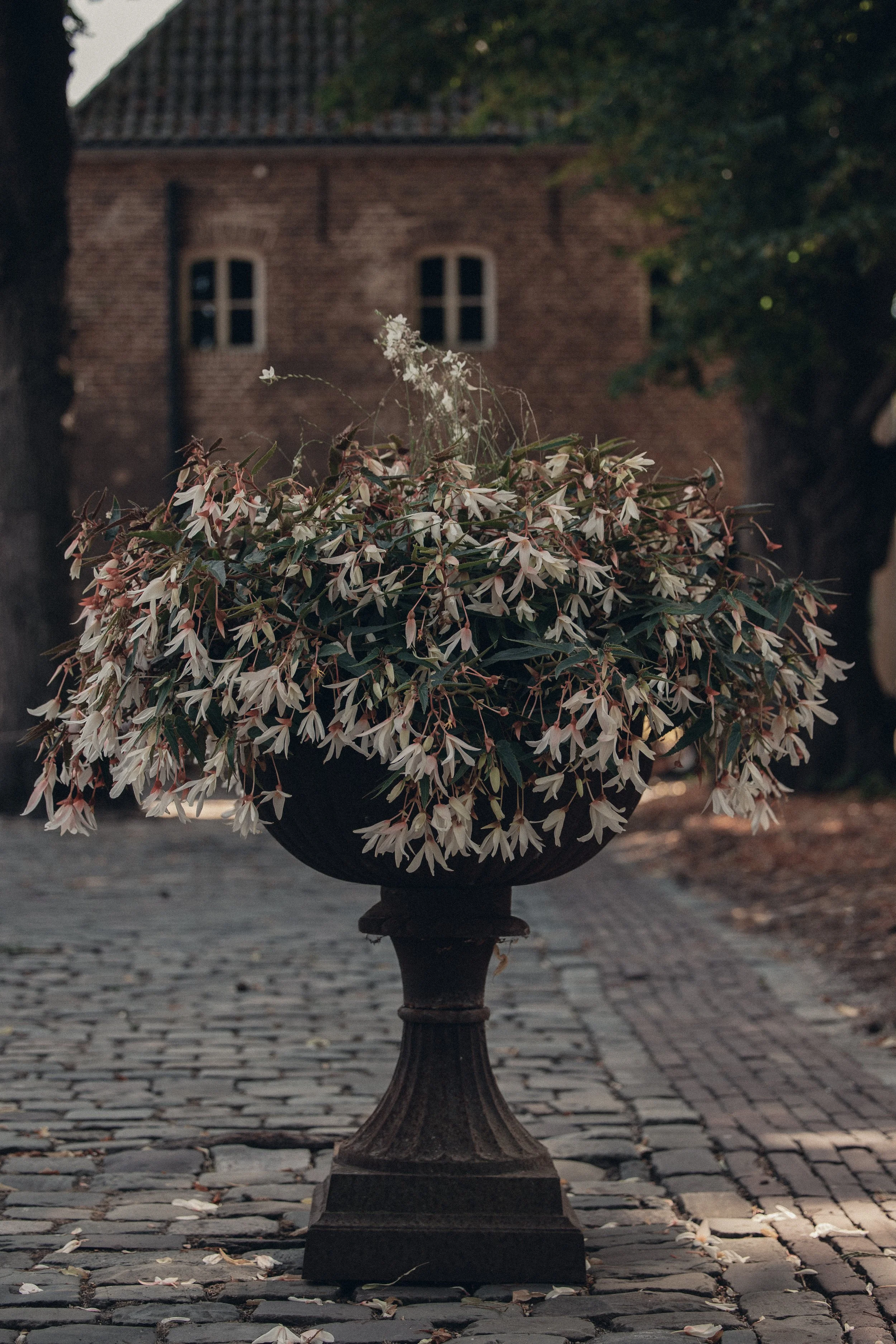 A large flower arrangement in a black urn planter on a cobblestone street, with a brick building in the background.