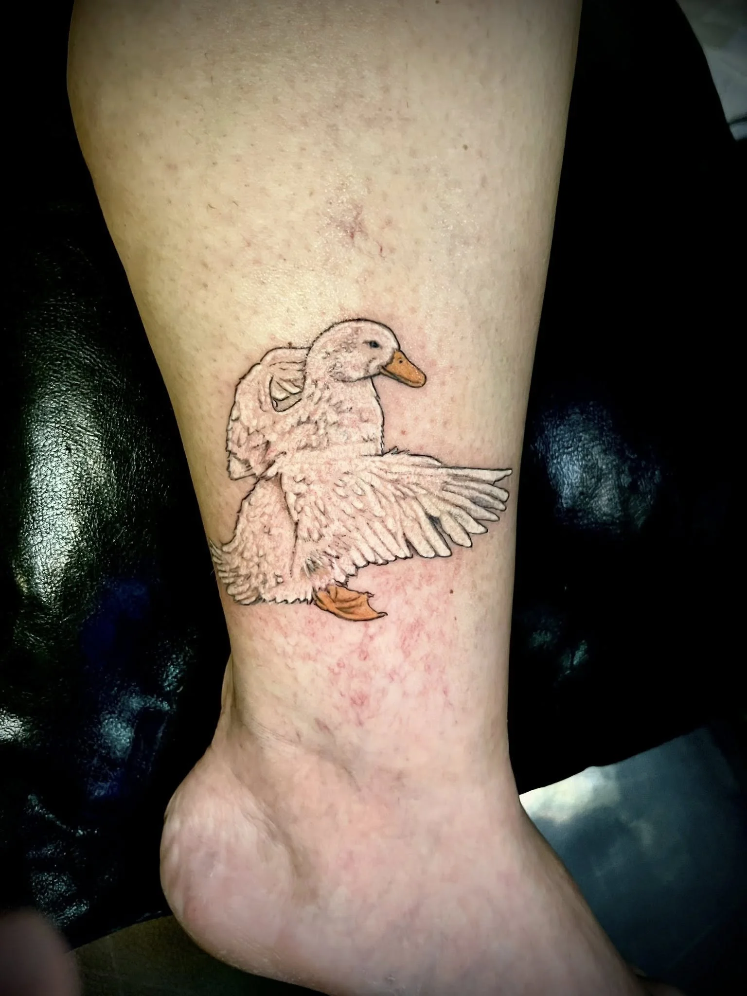 518209452_1290677276393556_5898963778354078260_n (1).jpg