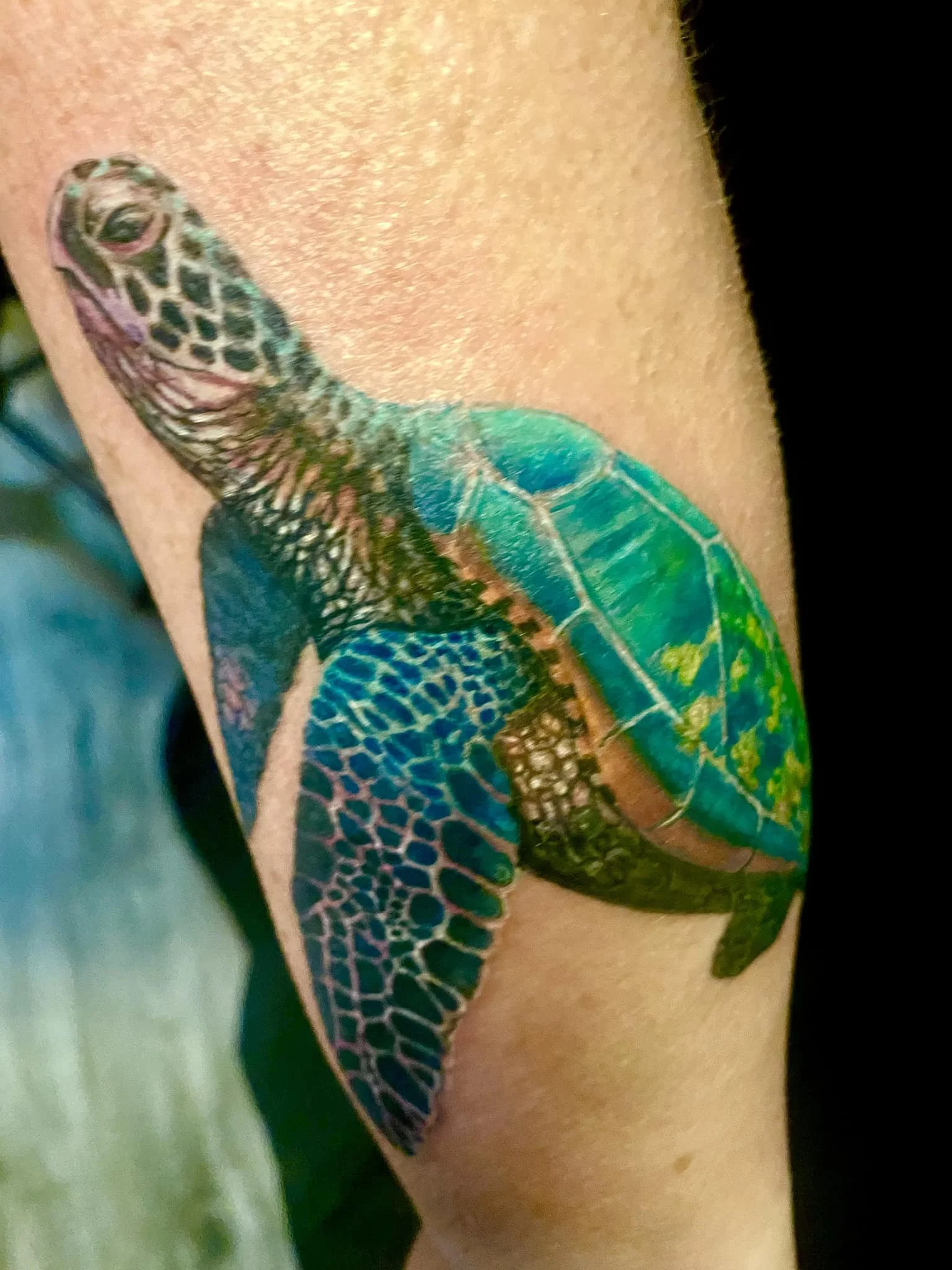 480244253_1158700002924618_6771272267605248735_n - Copy.jpg