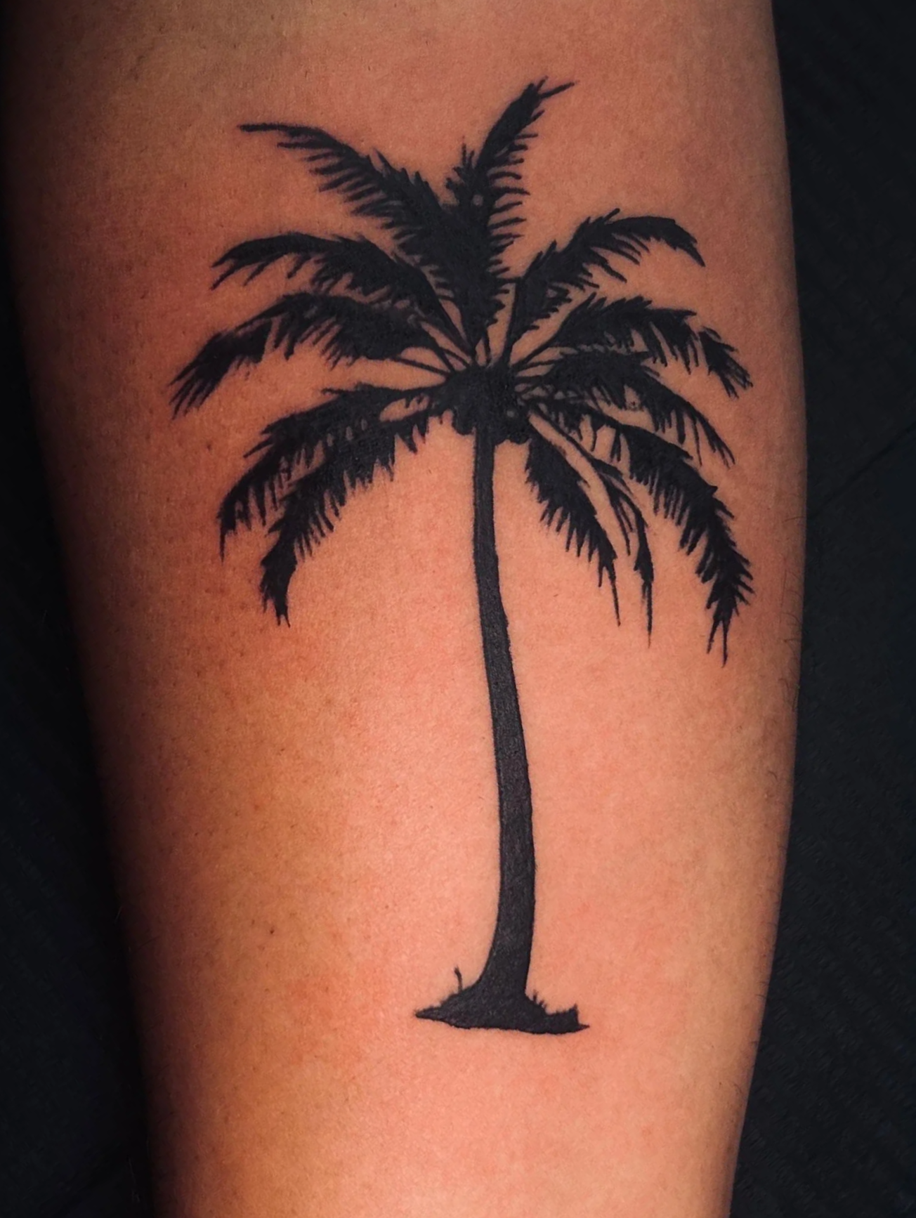Traditional palm tree tattoo design done at InkArt tattoo studio Miami.png