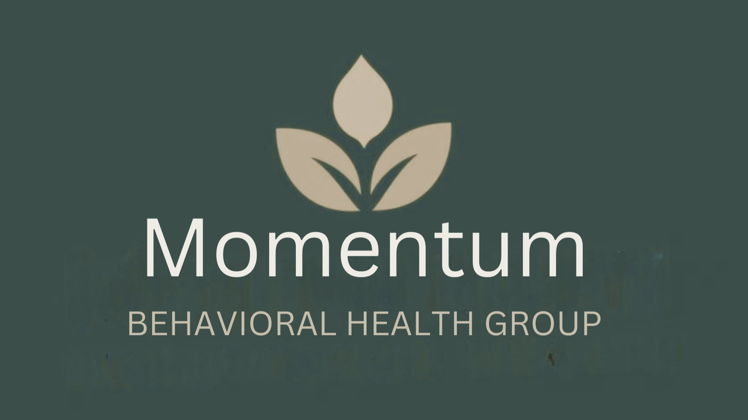 Momentum Behavioral Health Group LLC