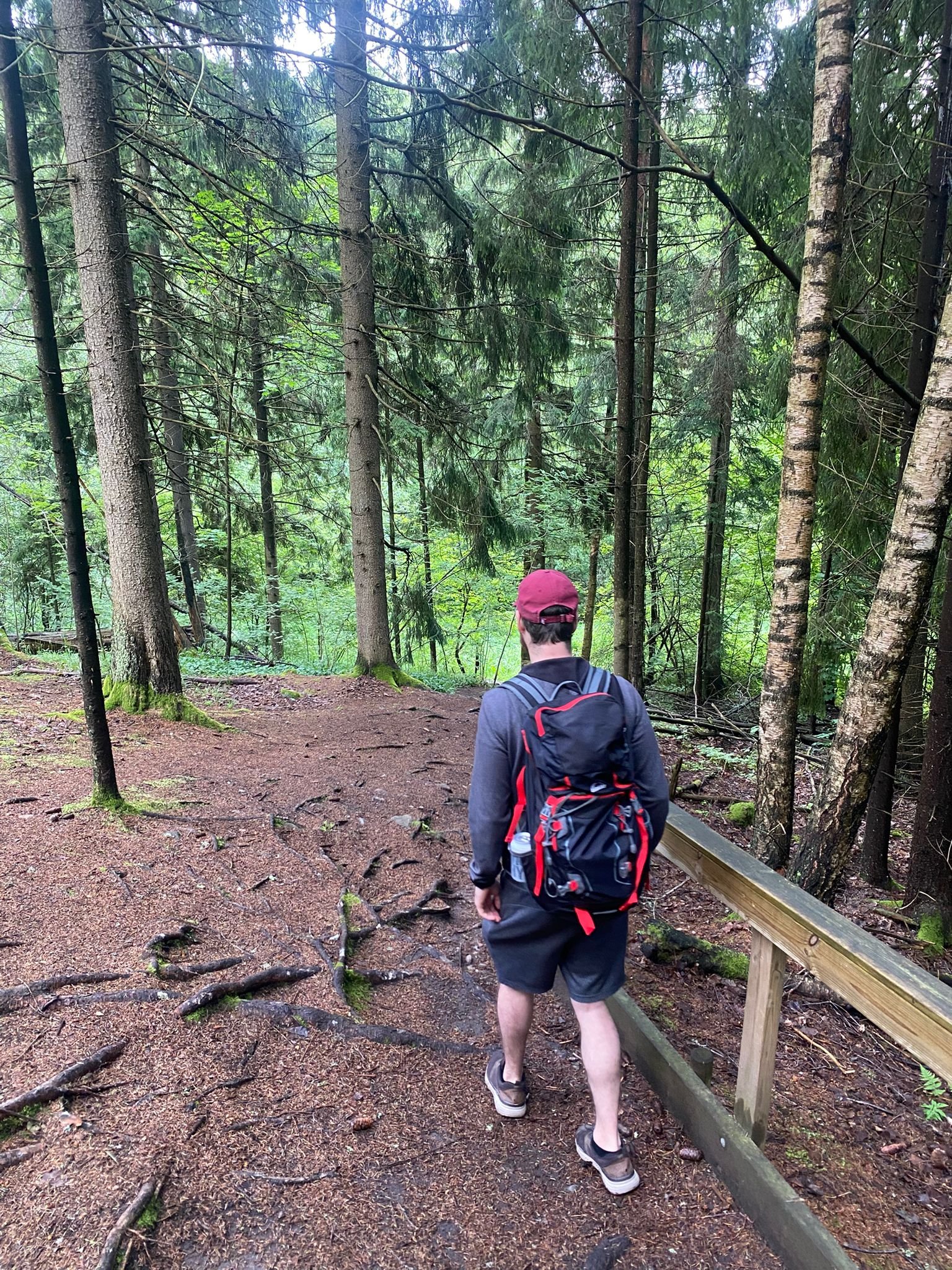 Packing for a Day Out 