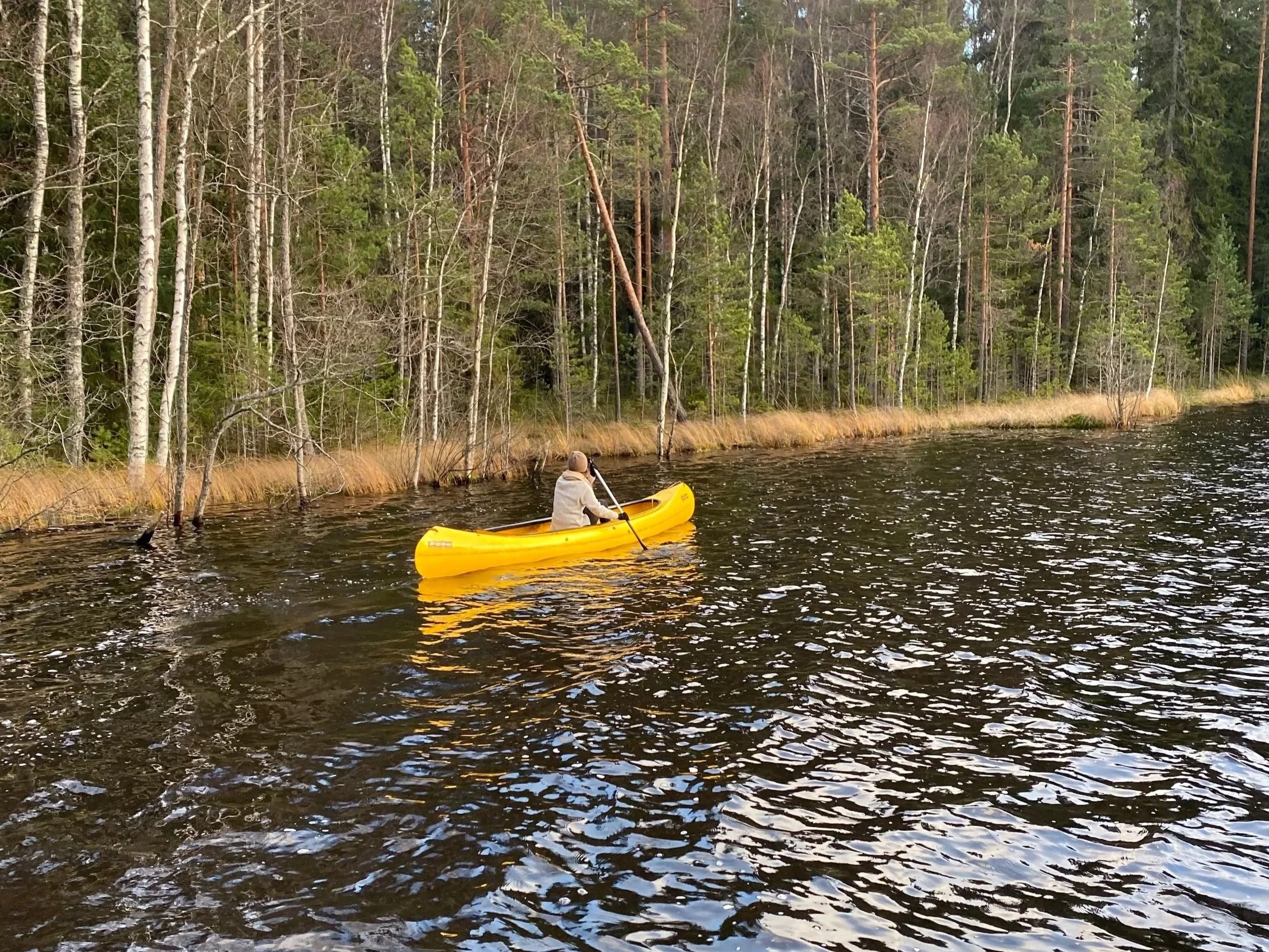 Forest Hike + Paddling Half/Full-Day (Nuuksio)