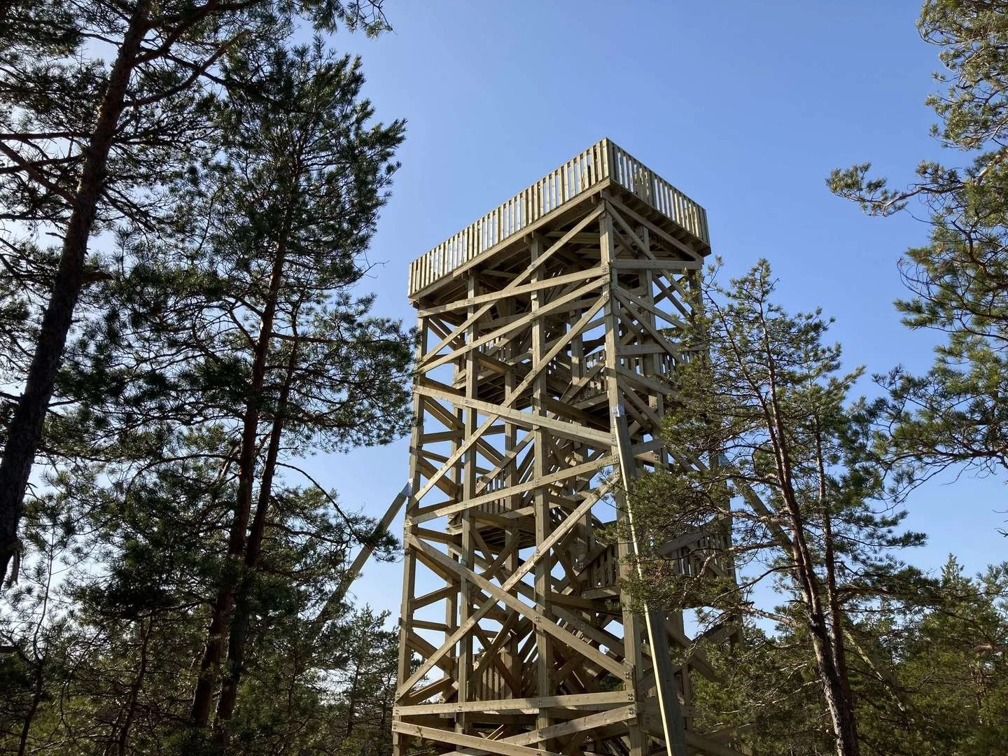 Half- or Full-Day Birdwatching (Viikki/Espoo)