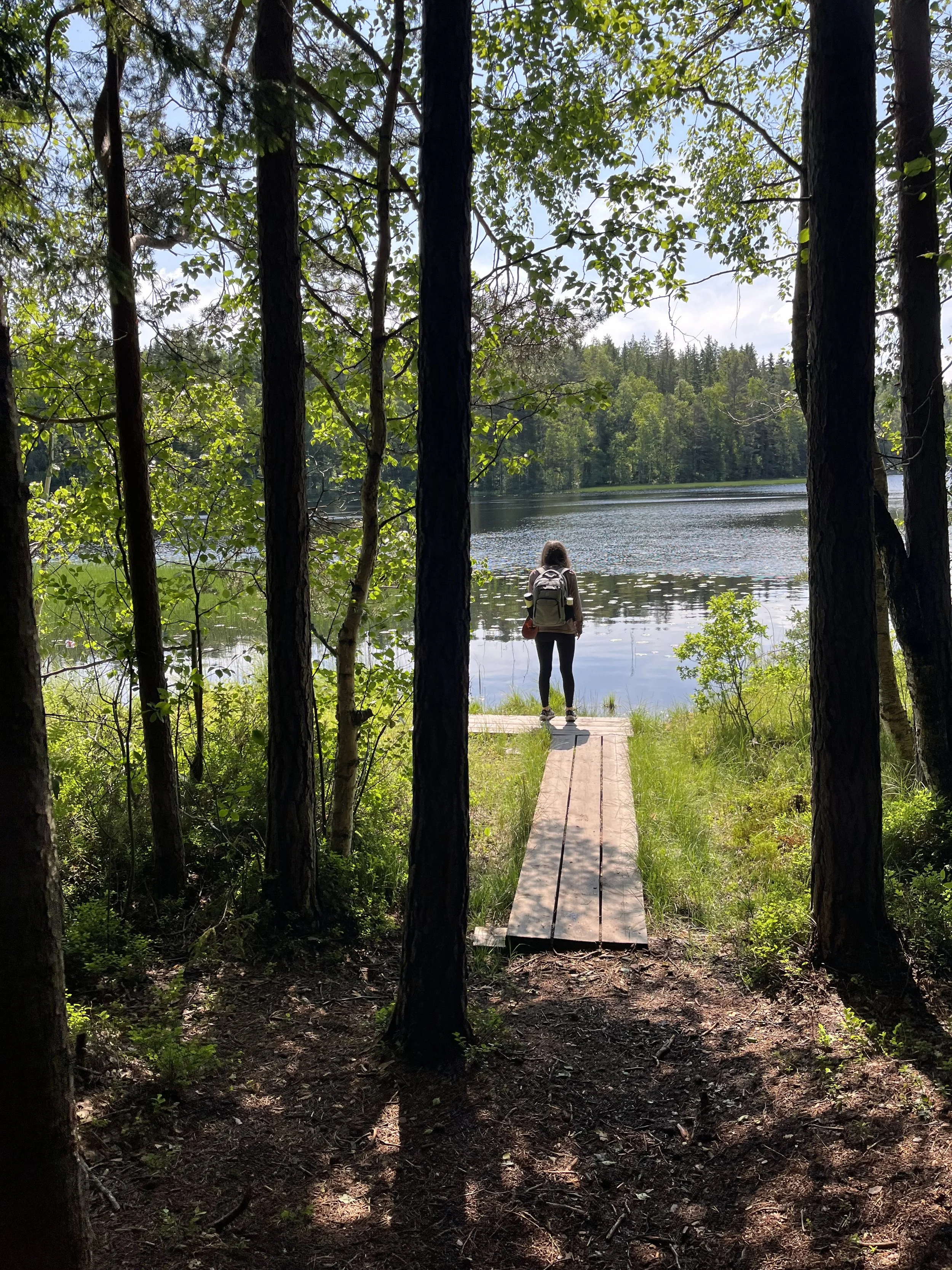 Nuuksio Half-Day Forest Trip