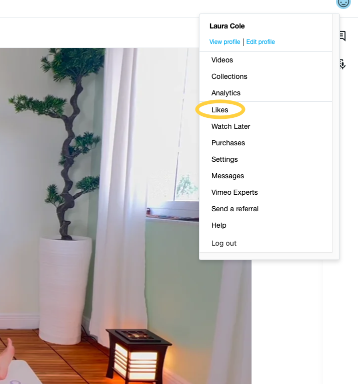 A lamp on a wooden floor in front of a potted plant with a twisted trunk next to a window with white curtains.