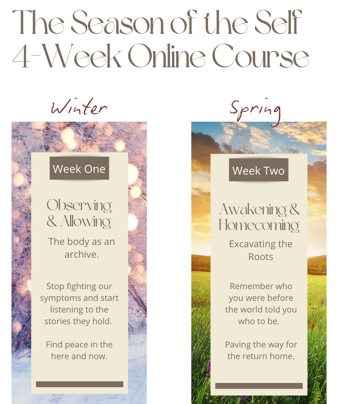 Screenshot 2025-12-24 at 12.56.05 PM.png