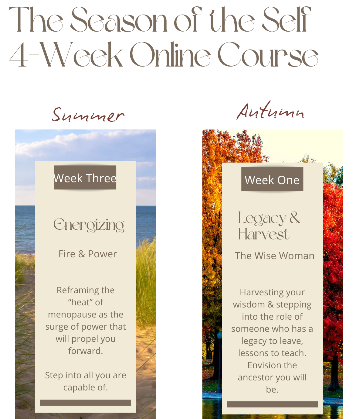 Screenshot 2025-12-24 at 12.56.15 PM.png