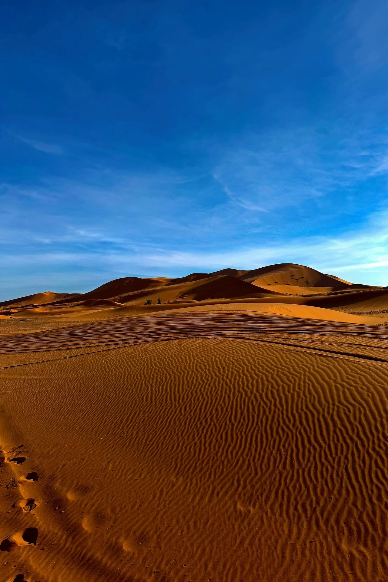 Golden desert dunes with ripples, sparse vegetation, and a bright blue sky.