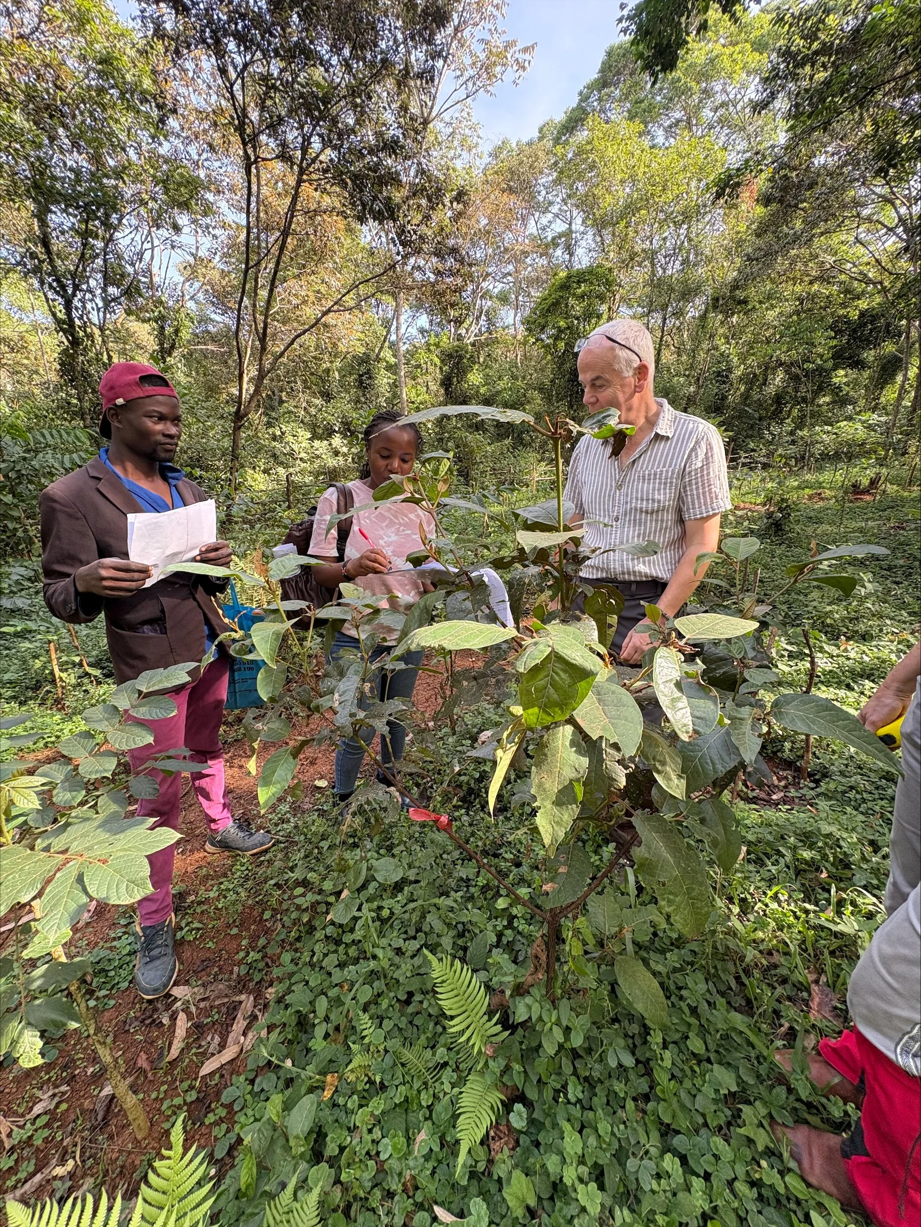 Mapping Carbon in Kakamega