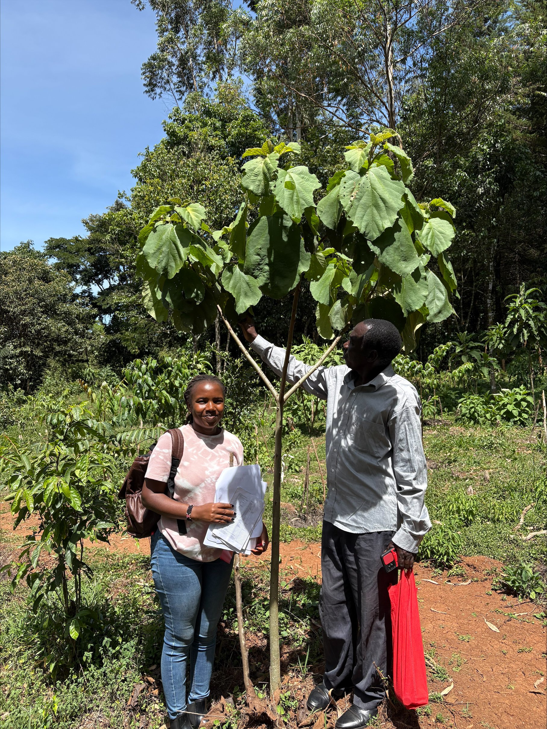 Kakamega Site visit January 2026