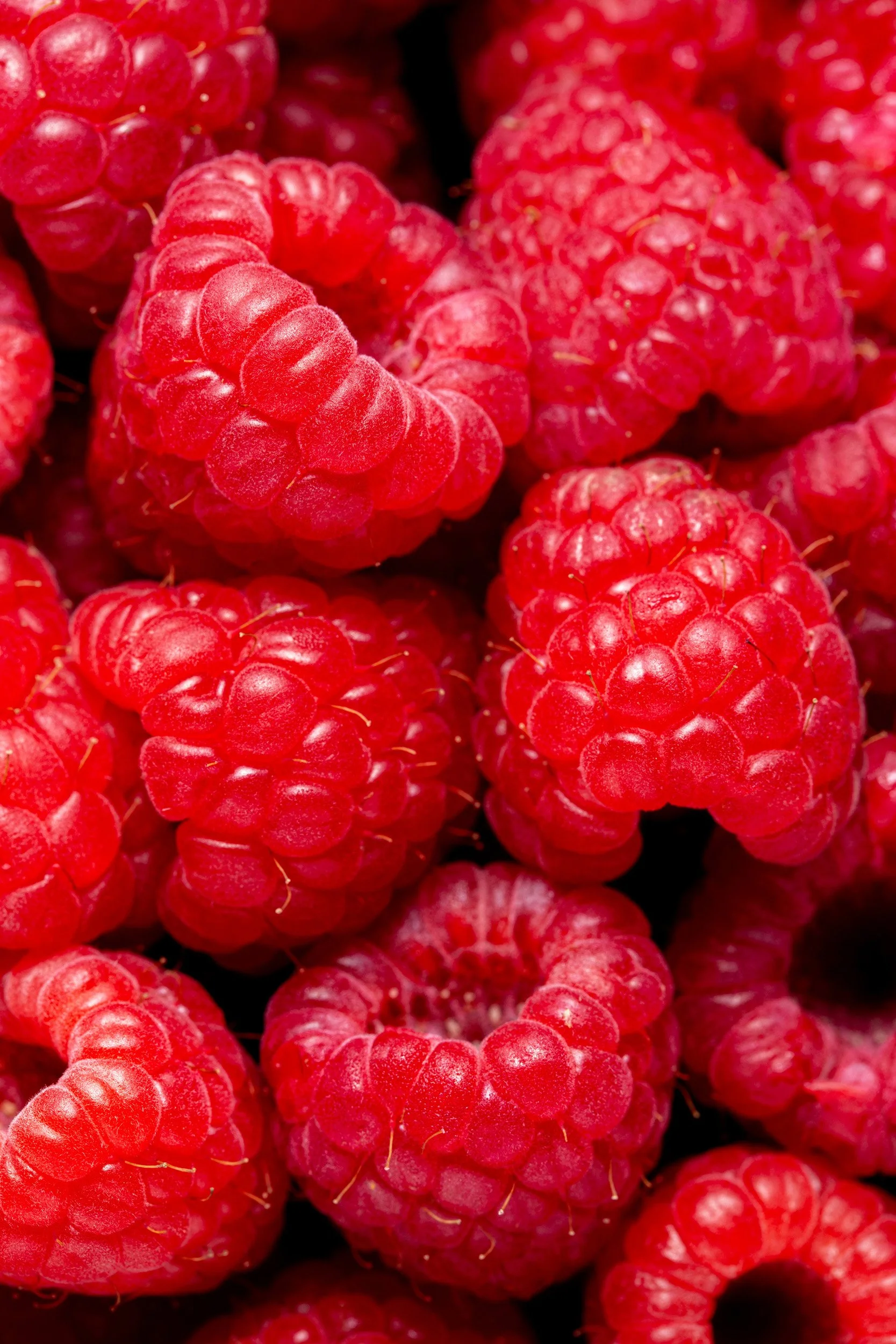 Close-up of fresh, red raspberries.