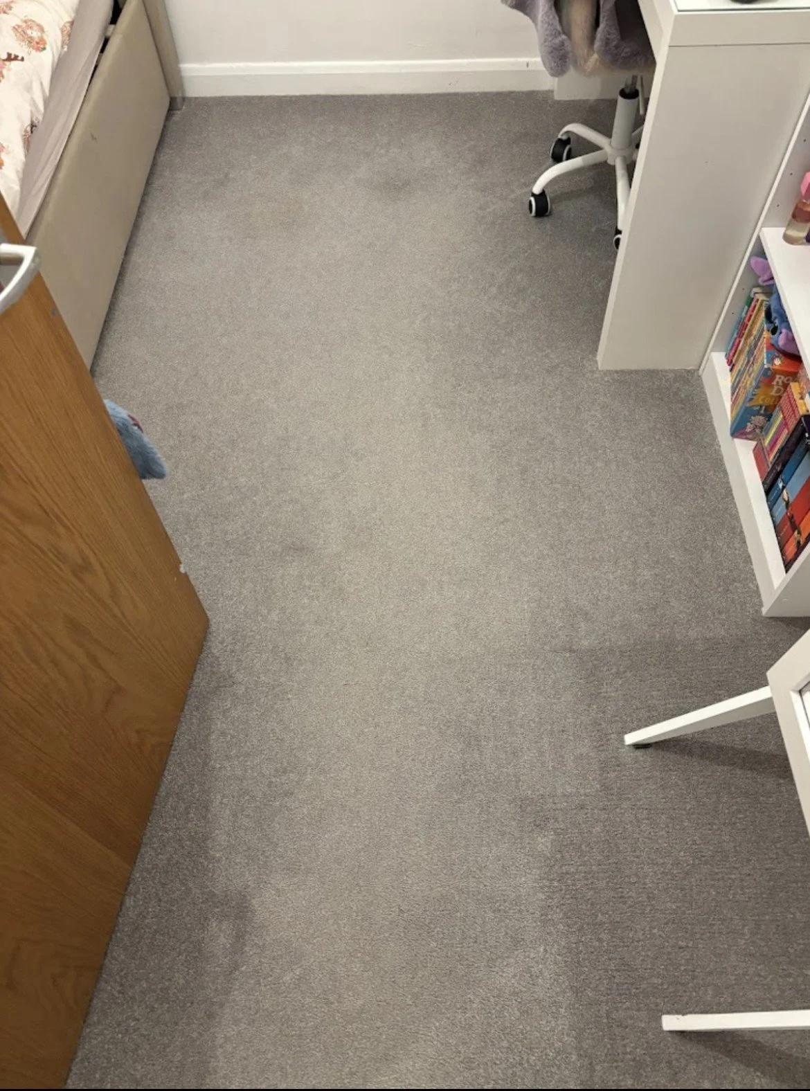 "Professional carpet cleaning restoration by Sparkle Dust in North Wales."