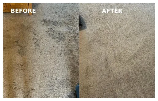 Clean carpet restored to a clinical standard by Sparkle Dust in Llandudno Junction.