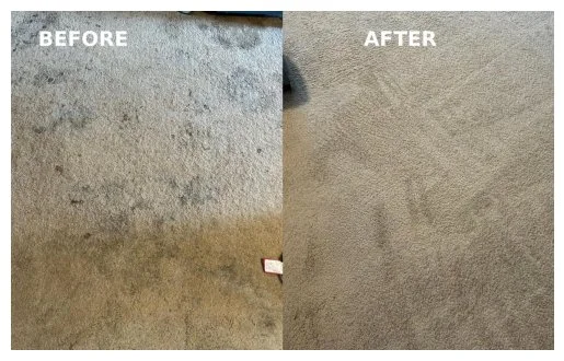 Specialist stain removal and carpet deep clean in Colwyn Bay and Abergele.