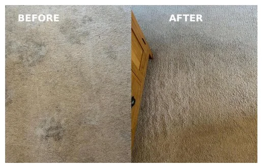 Heavily stained cream carpet in a Llandudno home before professional deep cleaning.