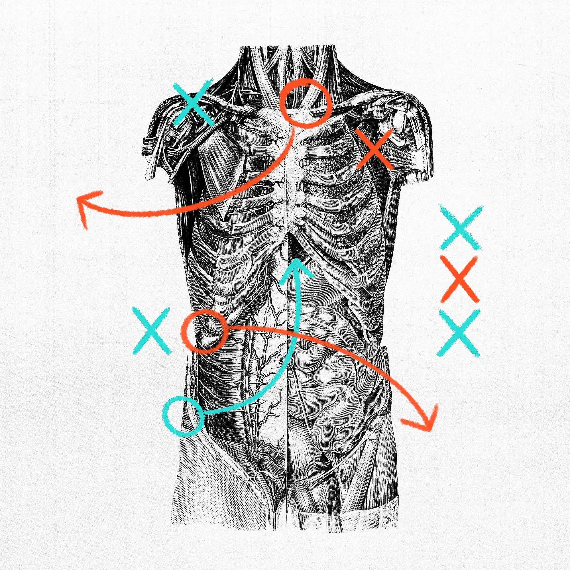 The Hack That Doctors Should Take
From Pop Stars and Quarterbacks By Stephen G. Flynn, Raymond S. Park, Pete G. Kovatsis and Anupam B. Jena. The New York Times - Jan. 6, 2025