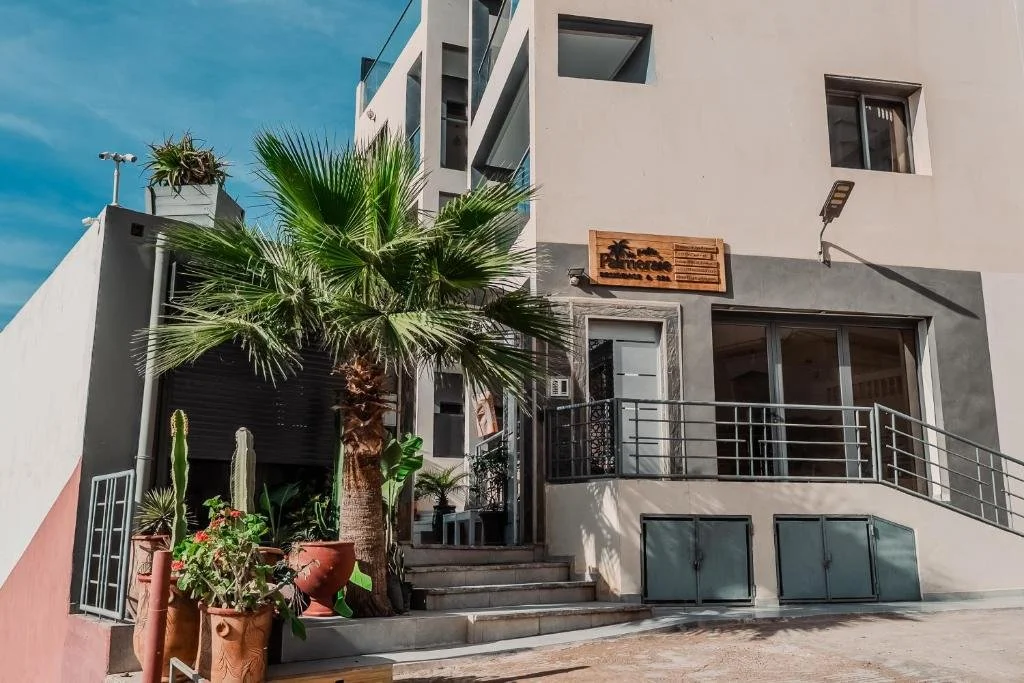 En palme foran et surf-hostel I Tamraght