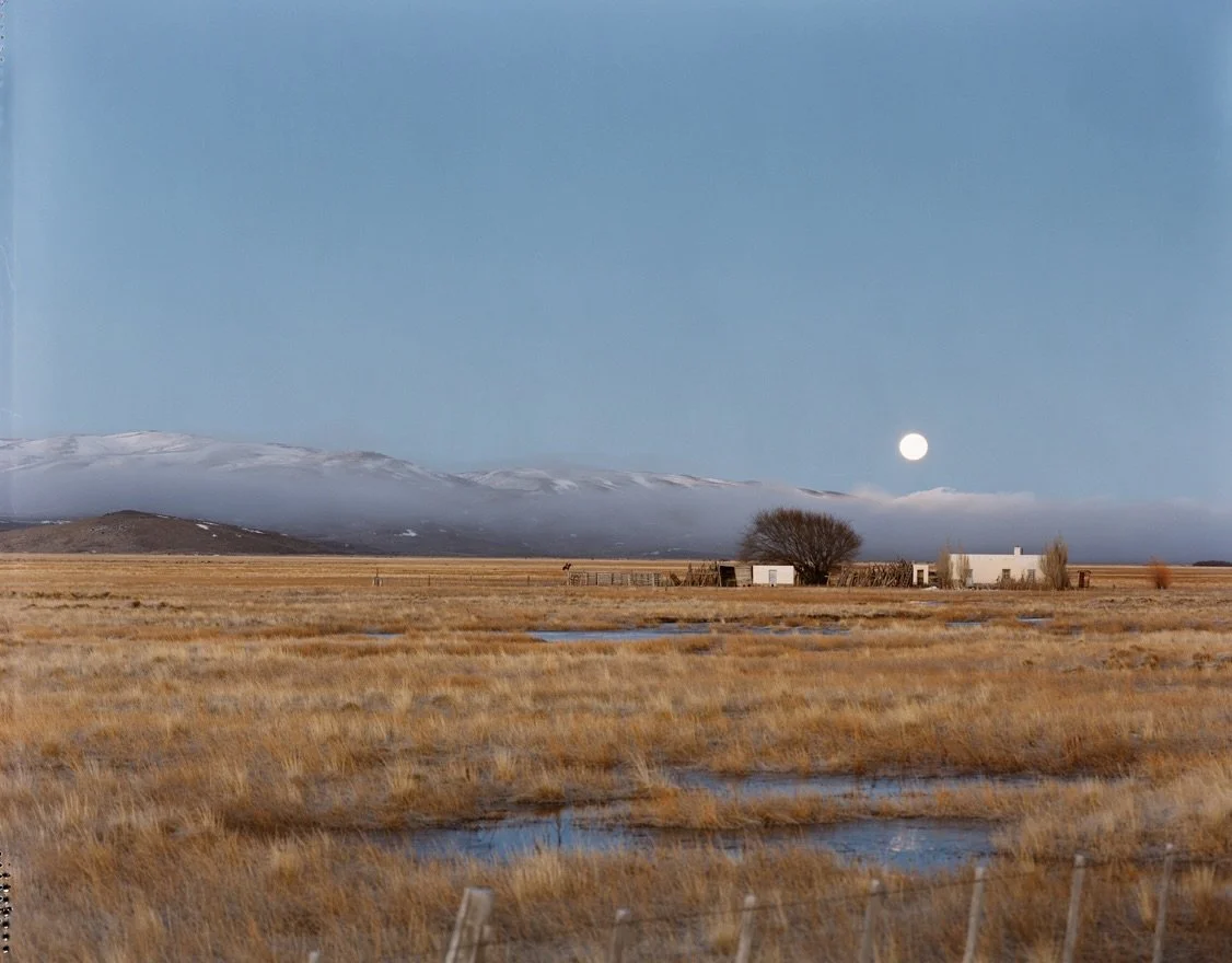 LANDSCAPE WITH RIDER SPOTTED.jpg
