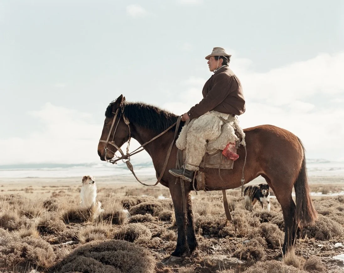 MAN HORSE DOGS FINAL.jpg