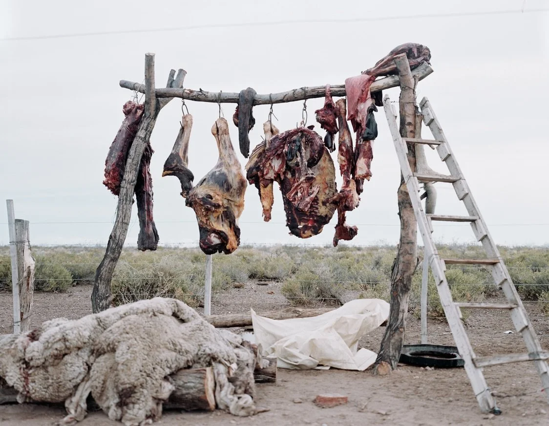 HANGING MEAT.jpg