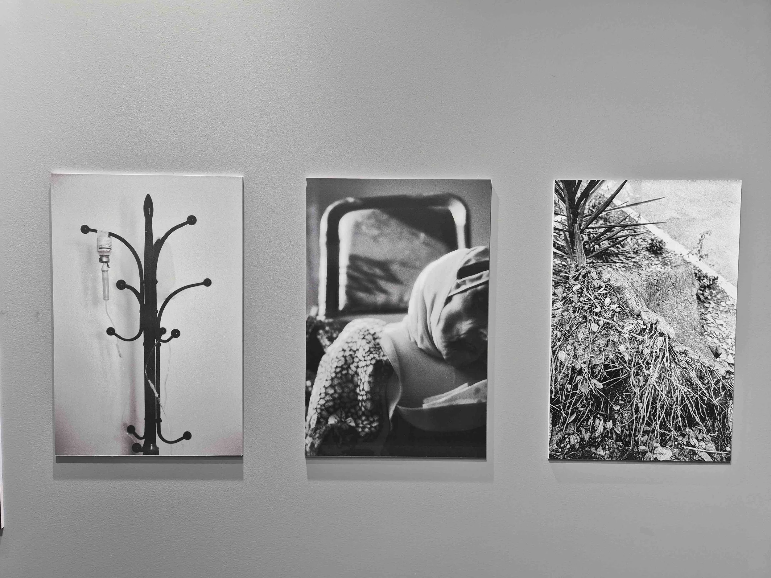 Three black-and-white photographs hung on a wall, from left to right: a coat rack with a light bulb and tangled wire, a person sleeping with their head on a table, and a plant with roots exposed in soil.