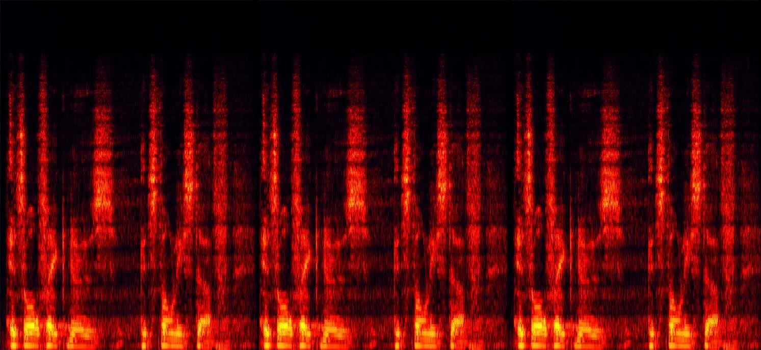 Trump-2.fakenews.voice-stamp.jpg
