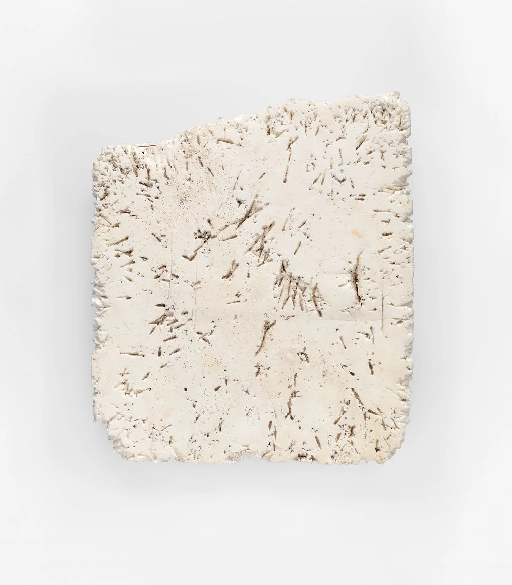 Land/Sea - Mike Perry