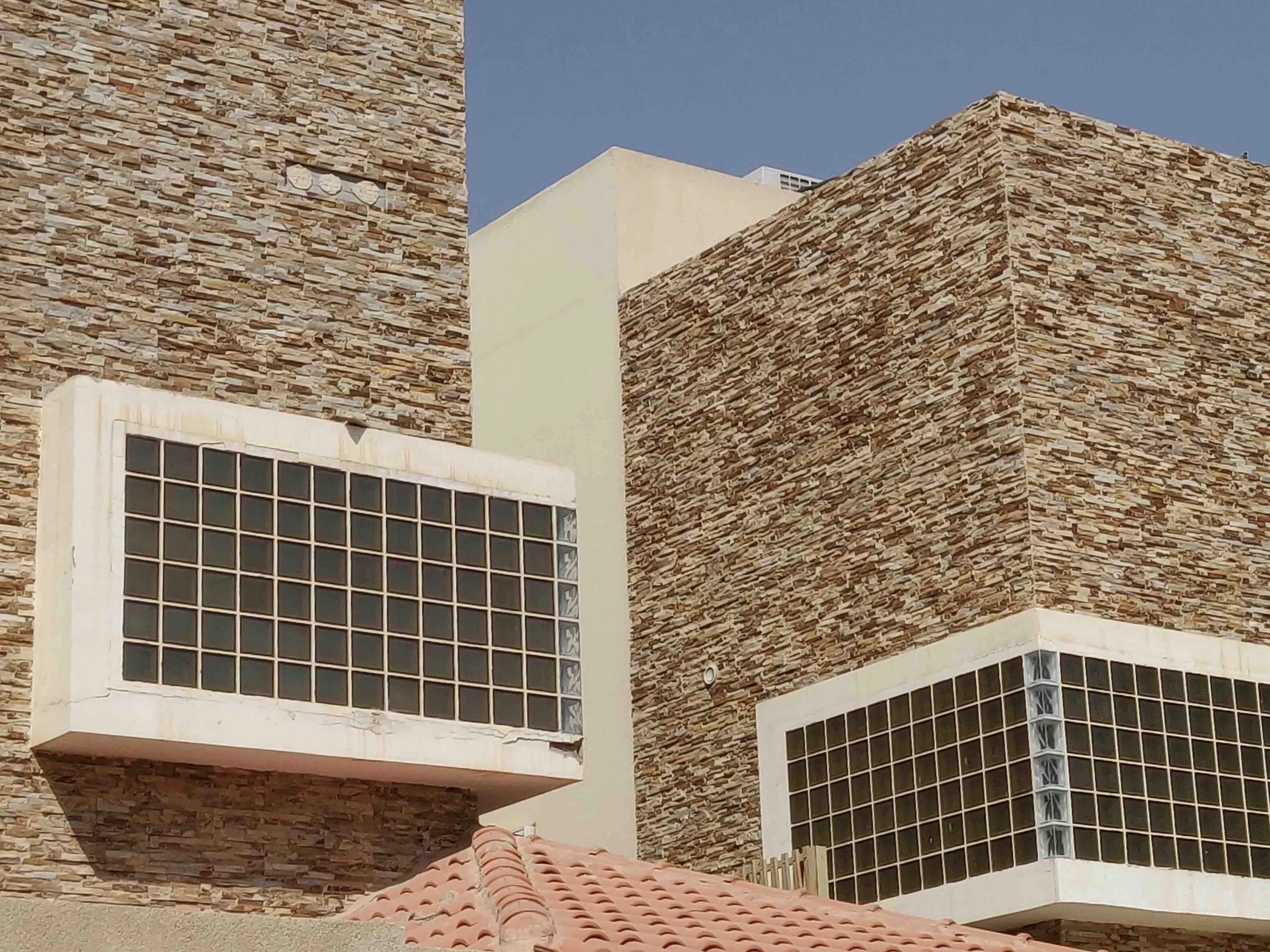 Saudi4.jpeg