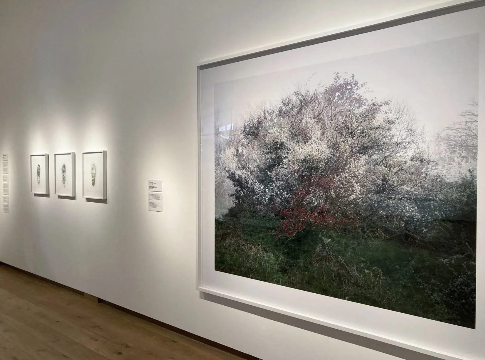 Screenshot 2026-03-30 at 18.50.26.jpeg