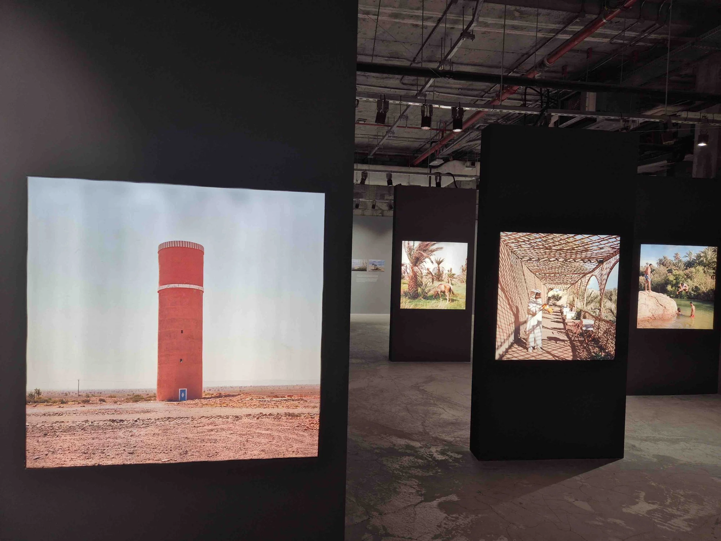 Gallery exhibition with photographs by Mohammed Kilito of desert landscape, animals, and people in nature, displayed on black panels in an industrial-style space.