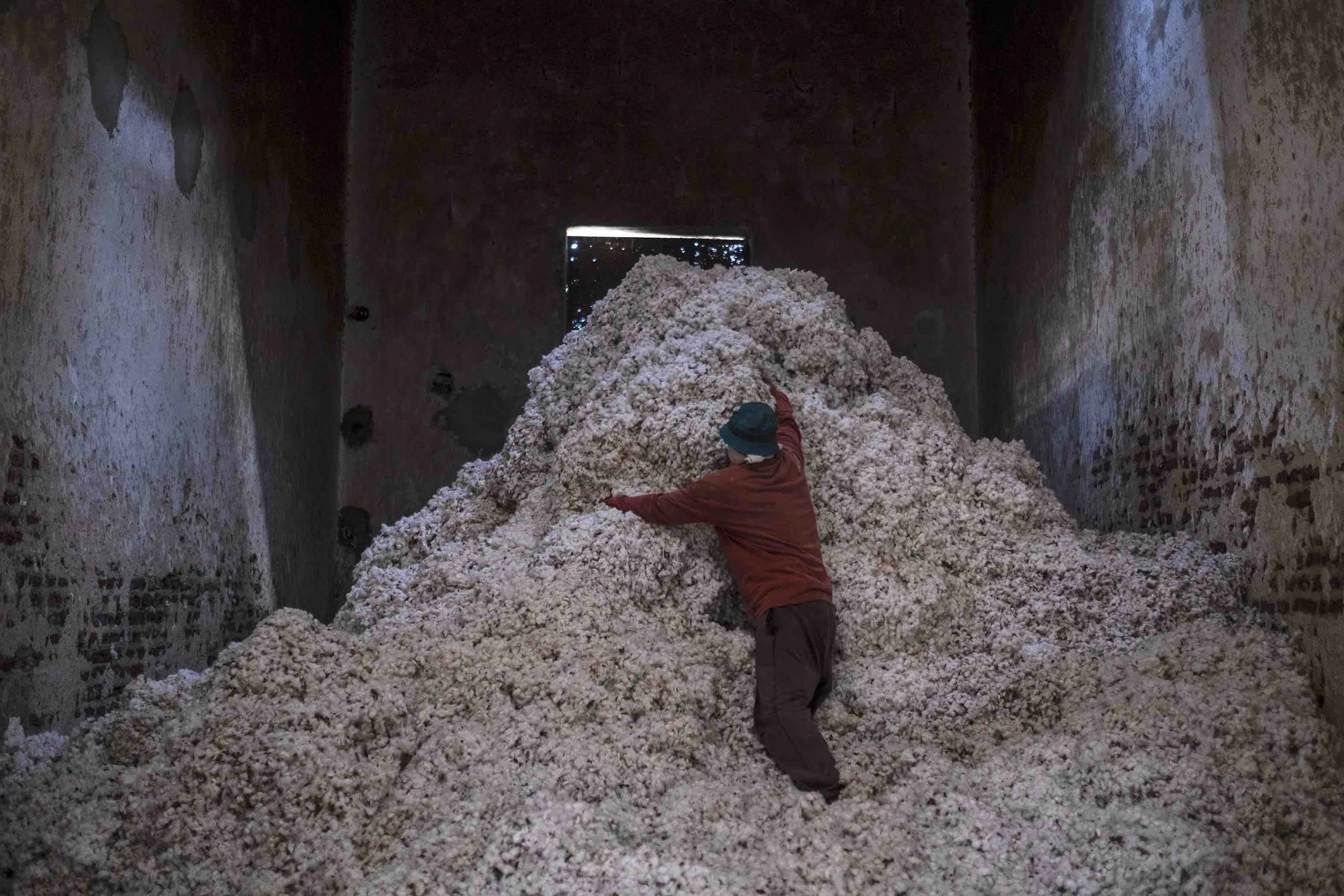 Amina Kadous' image of a person  wearing a blue hat and red jacket is shoveling a large pile of pink and white cotton flowers inside a dark, enclosed space with brick walls.