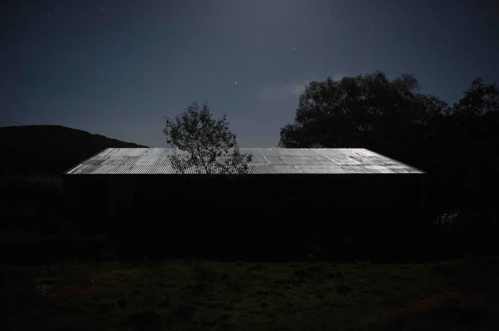 Treheslog-landscape-in-moonlight-from-the-series-Green-Dark-2021-1-1024x680.webp
