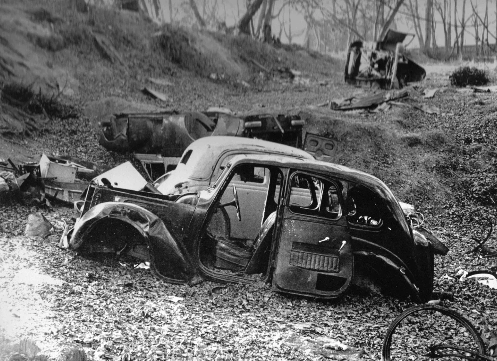 Cocksherd Wood 1965.jpeg