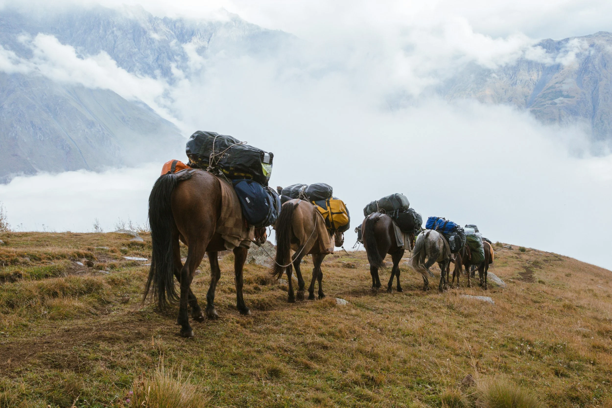 Horseback Pack Trips in Jackson Hole: Why Early Fall Is the Best-Kept Secret