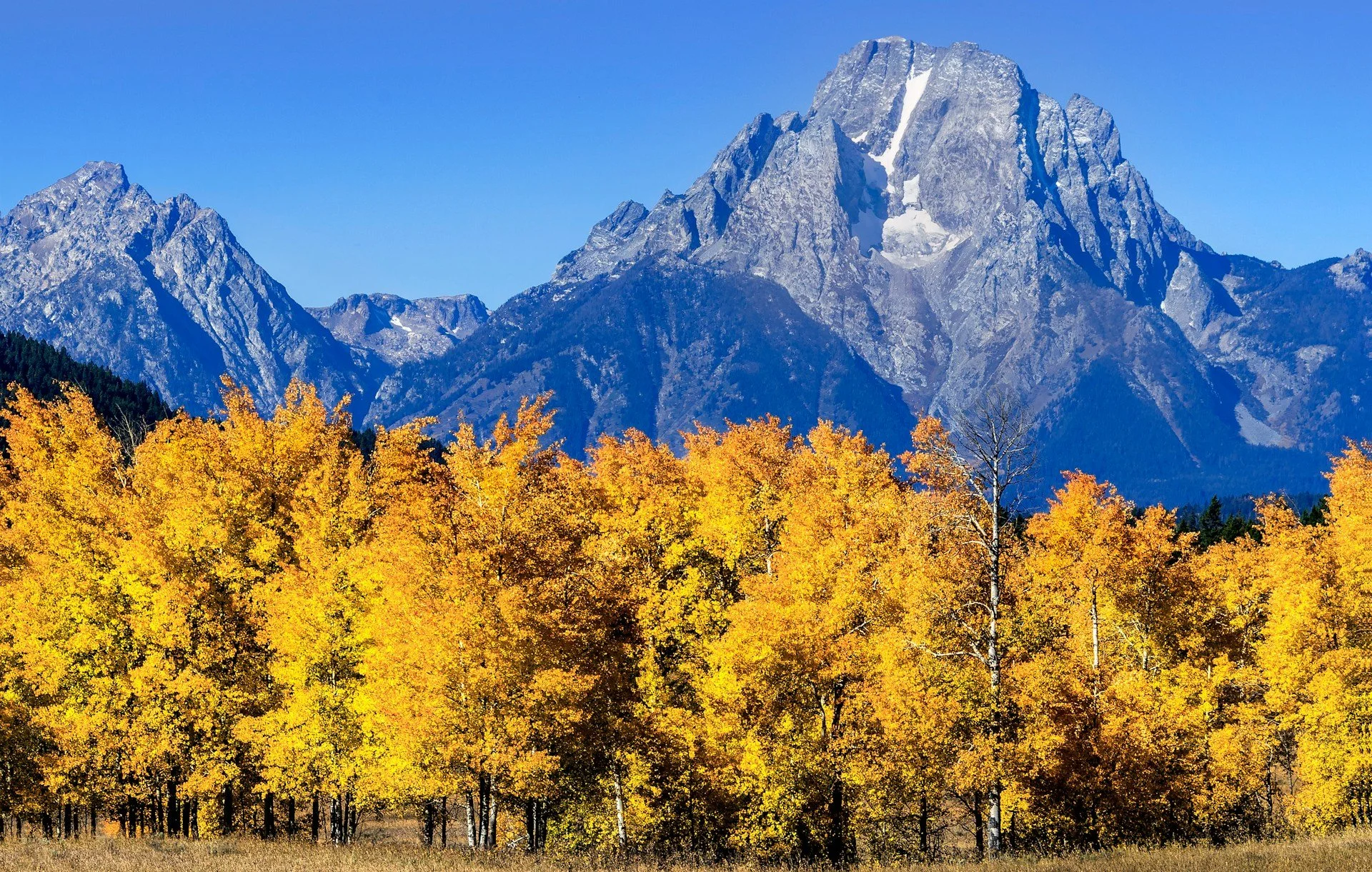 Fall in Jackson Hole: The Valley's Best-Kept Secret Season