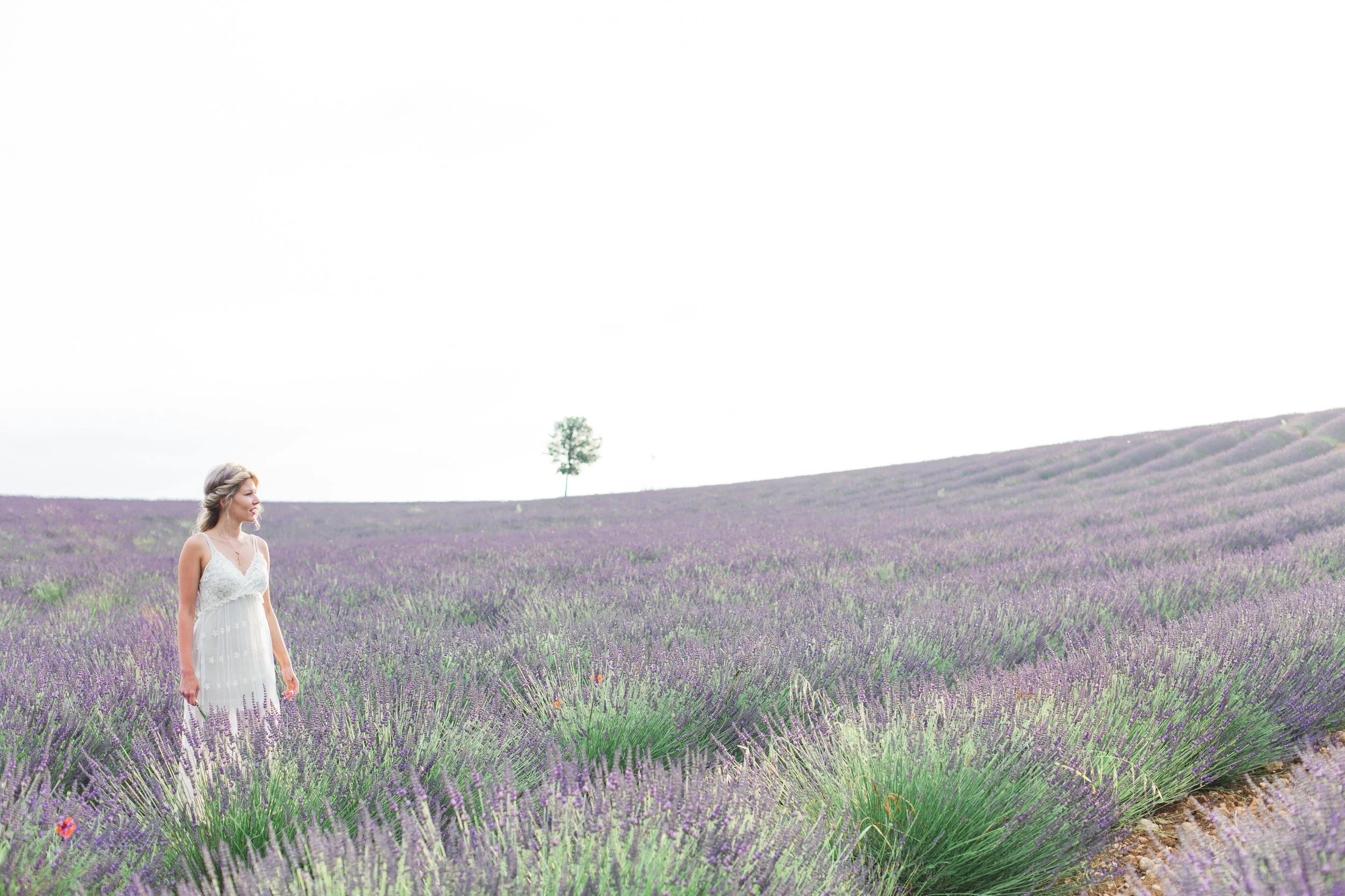 travel planner provence cote d'azur