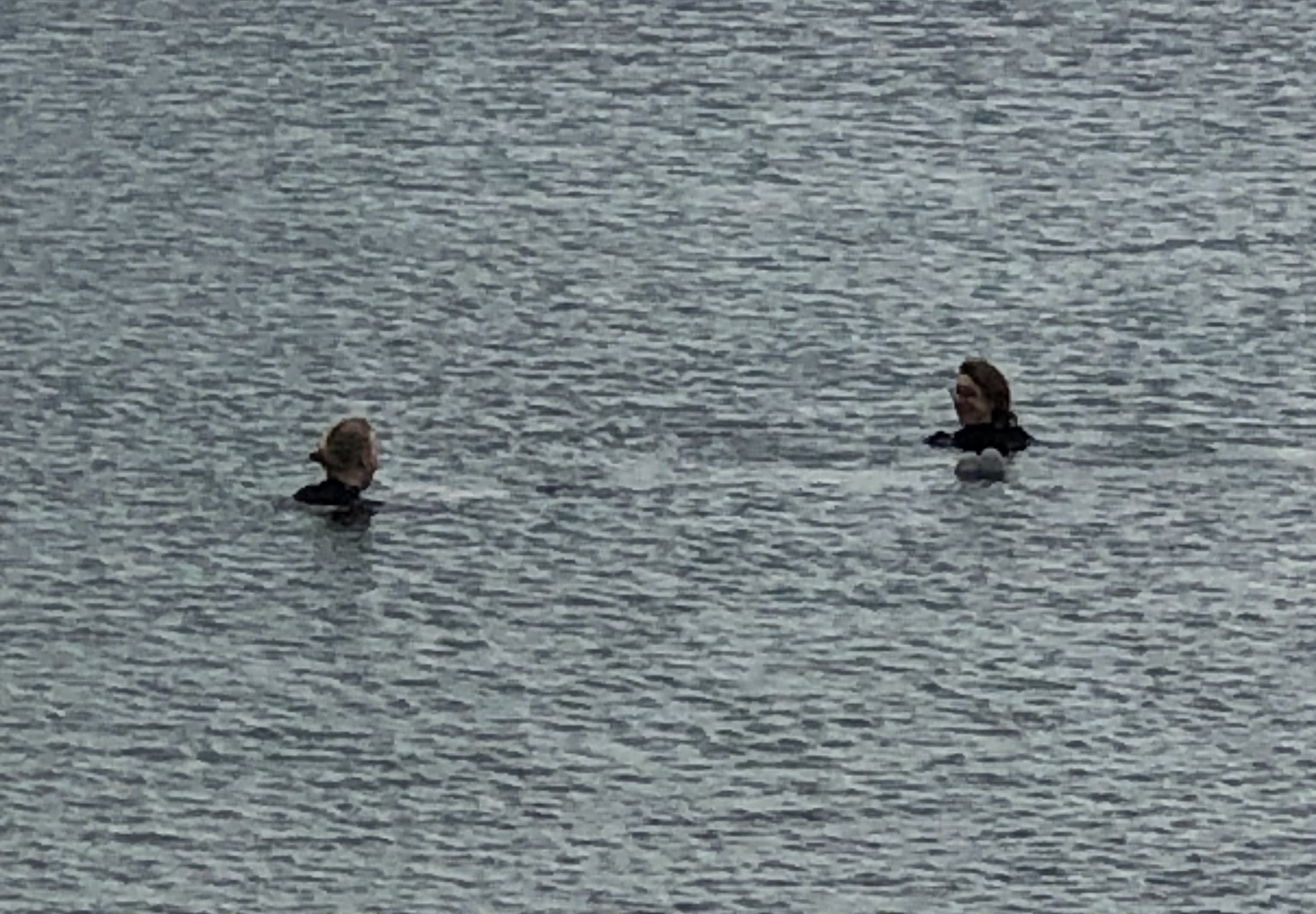 Two people floating in a body of water, with only their heads and shoulders visible, and the water extending to the horizon.