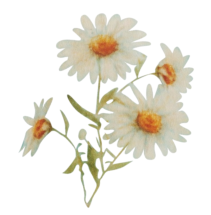 A bouquet of three daisy flowers with white petals and orange centers, along with a bud and green stems and leaves.