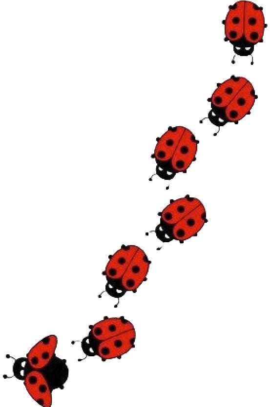 Multiple cartoon ladybugs climbing up a diagonal path