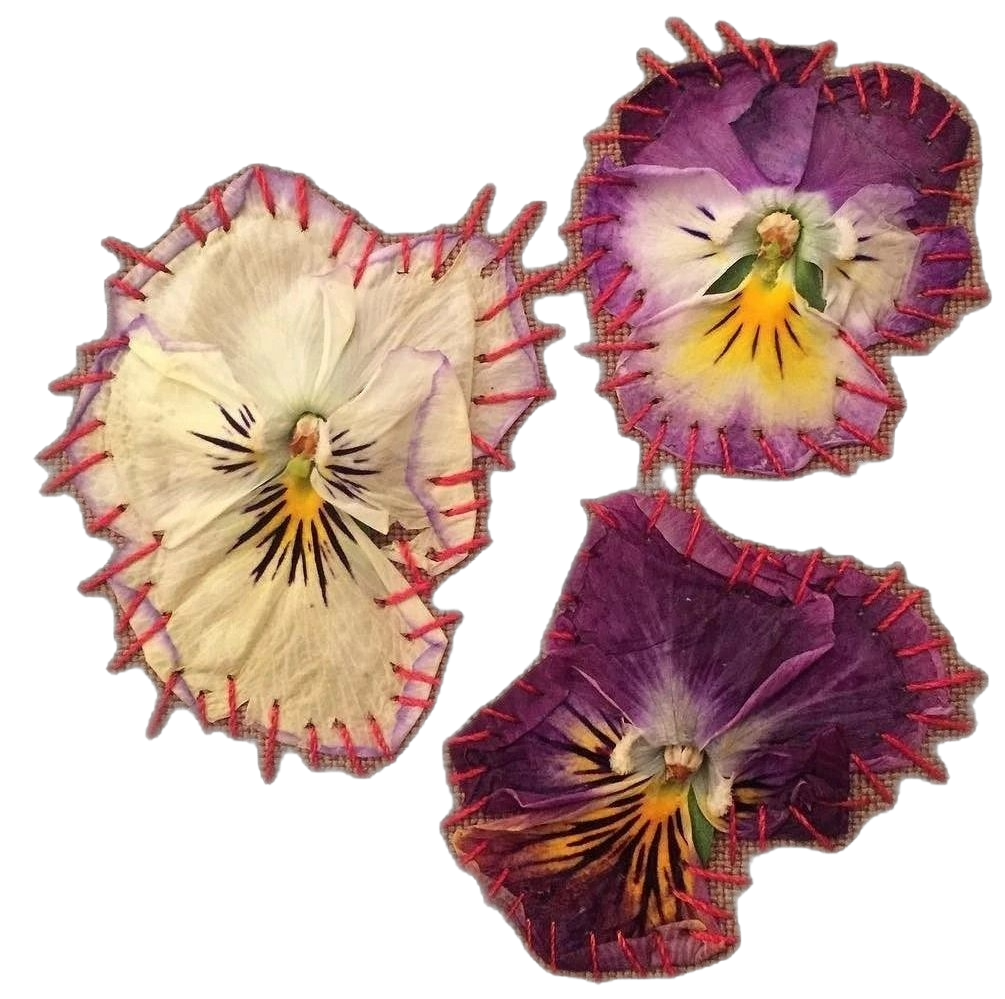 Three pansy flowers with stitched edges, one cream-colored, one purple, and one dark purple.