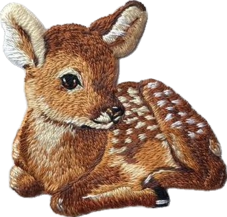 Cute baby deer lying down with brown fur and white spots on its back.