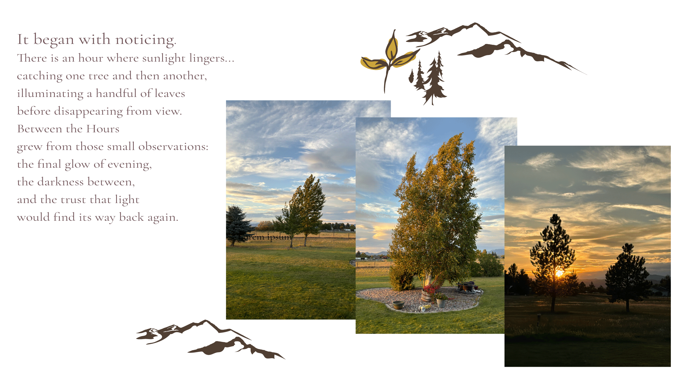 Three images of trees with the warmth of the sun glistening from their branchs and a paragraph describing the interaction