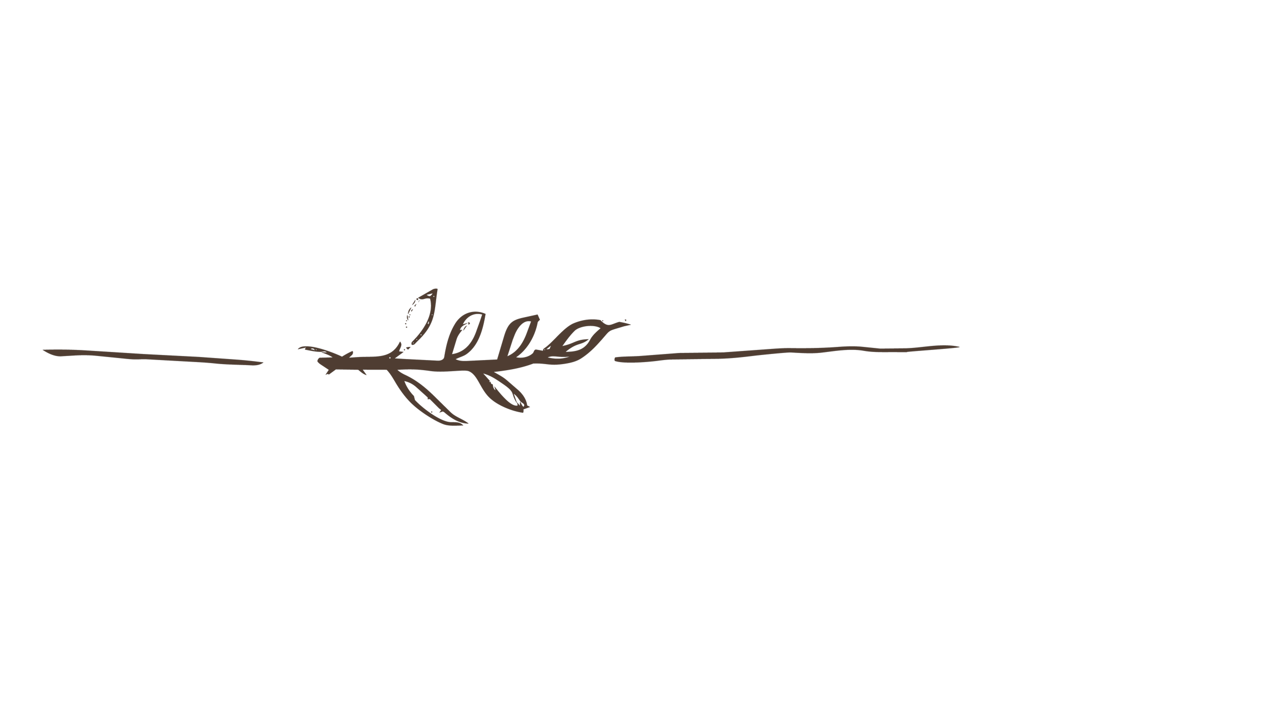 Minimalist hand-drawn botanical  brown branch  illustration created as a coordinating botanical motif  for Driftzen Studio surface patterns and web page